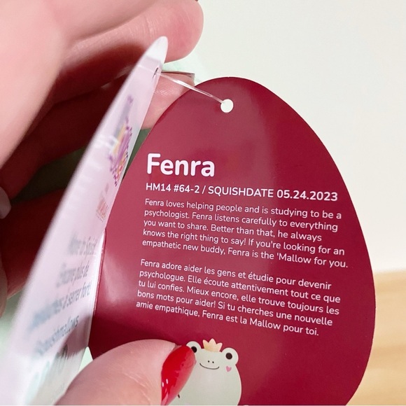 Squishmallow Fenra the Frog Hugmee 14 inch NWT - Picture 4 of 4